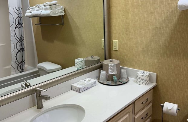 Barnum & Bailey Suite Bathroom