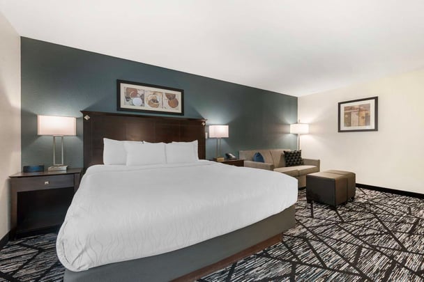 Standard King Bed Room