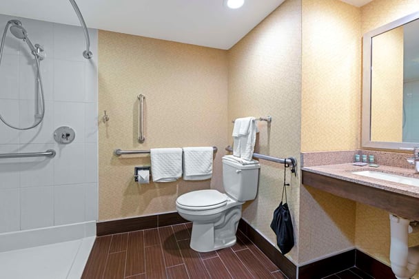 Accessible Bathroom Roll In Shower