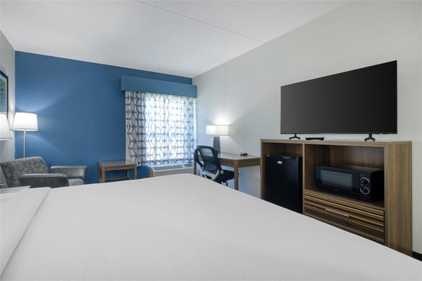 Accessible King Guest Room