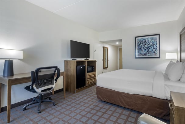 Accessible King Guest Room