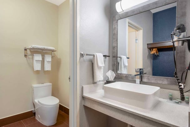 Standard Bathroom (King Bed)