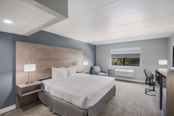 King Suite ADA Shower