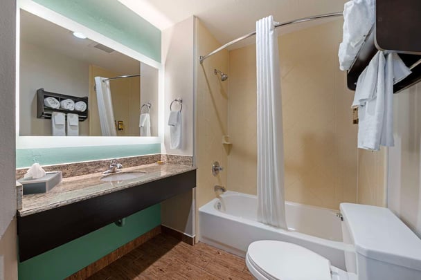 Standard Bathroom (King Bed with Sofa Bed)