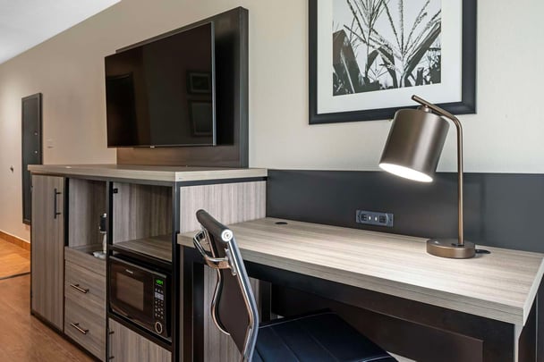 King Room (Accessible & Pet Friendly)