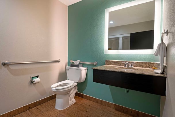 Accessible Bathroom