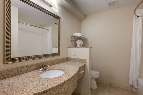 Suite Bathroom