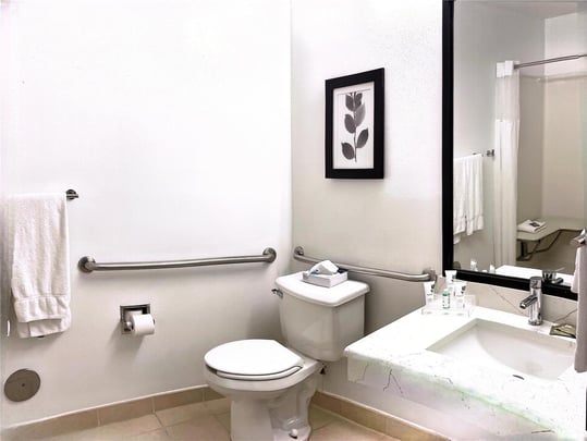 Deluxe King with Kitchenette