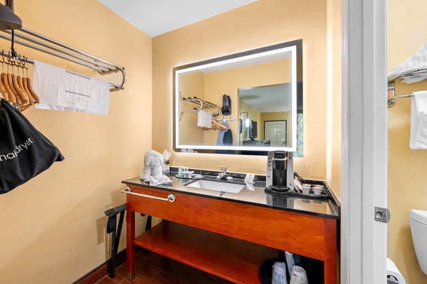 King Room (Downstairs) Bathroom