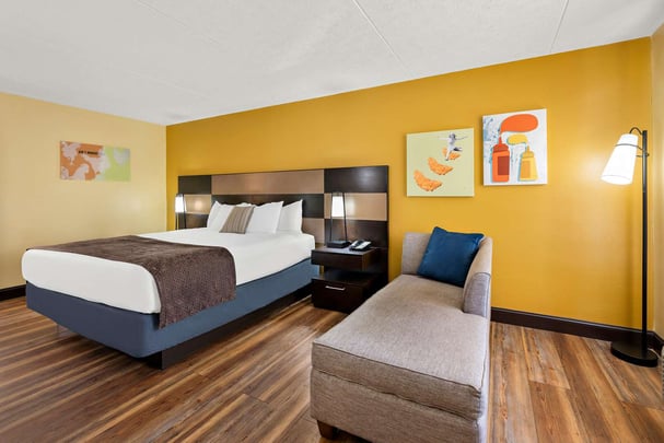 King Room (Pet Friendly)