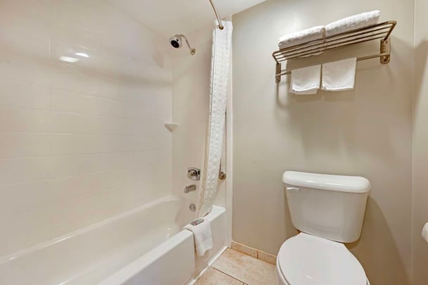 Standard Bathroom | Large King Room