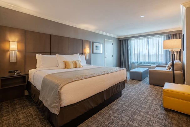 King Suite with Sofa Bed