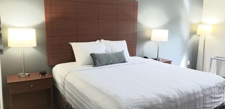 Single King Guest Room