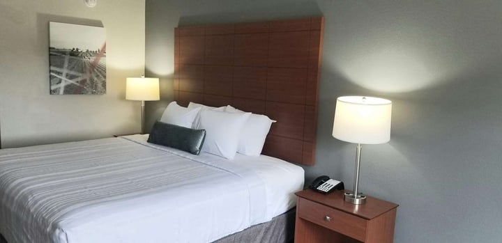 Mobility Accessible King Guest Room