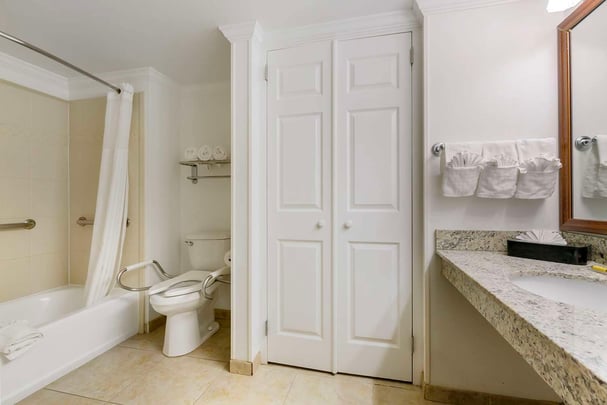 Bathroom - Accessible Double with Sofa Bed