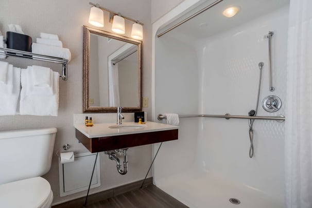 Guest Bathroom Accessible