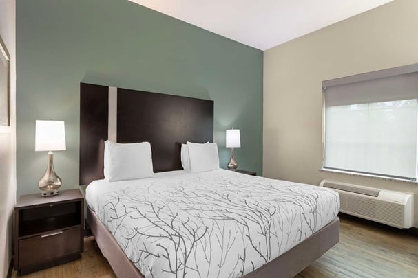 King Accessible Room