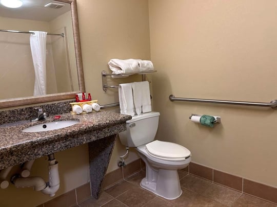 Mobility Accessible Guest Bathroom