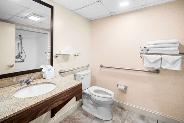 Accessible Queen Bathroom