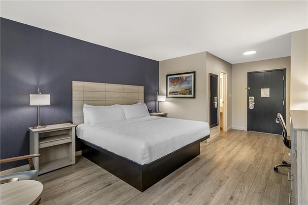 King Room Pet Friendly