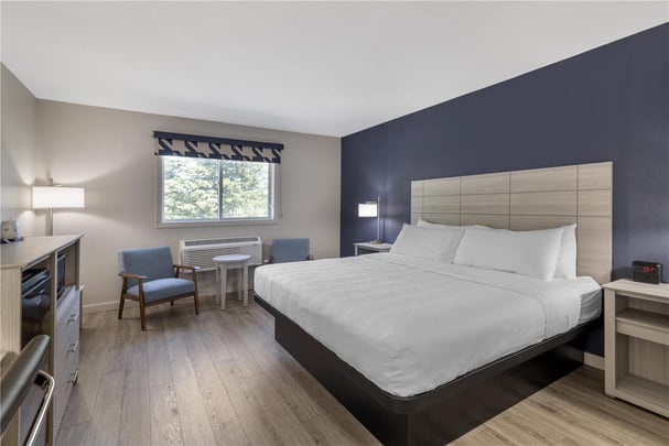 King Room Pet Friendly