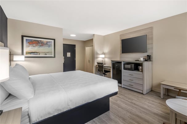 King Room Pet Friendly