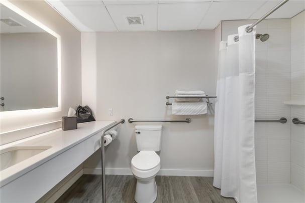Accessible King Suite