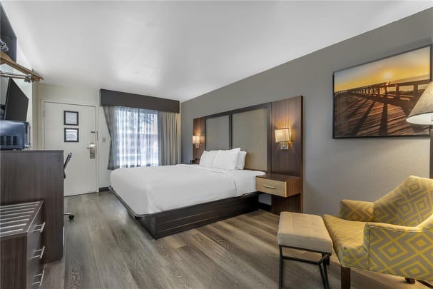 King Room Pet Friendly