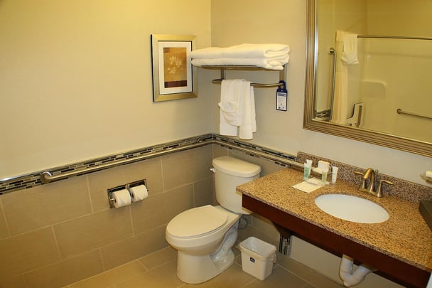 Mobility Accessible Guest Bathroom