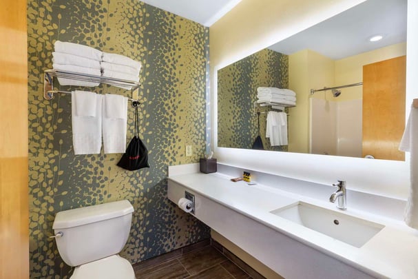 2 Queen Suite Bathroom