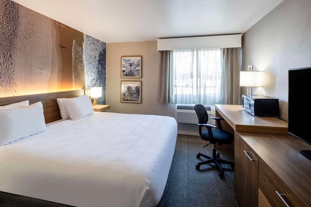 HCS Handicapped King