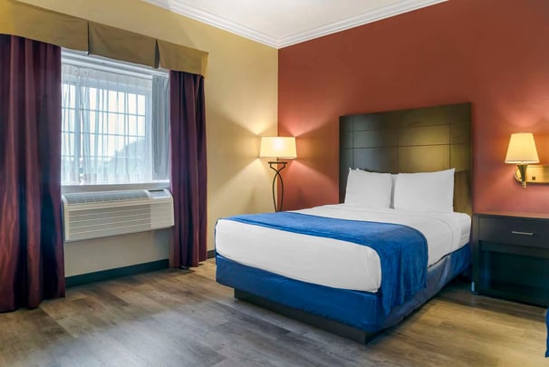 King Suite | Sofa Bed