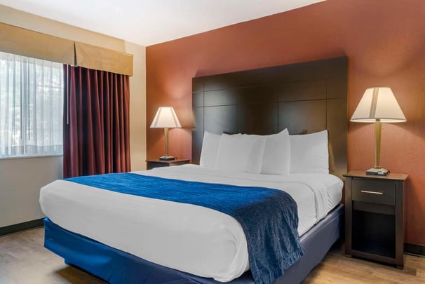 King Suite | Sofa Bed