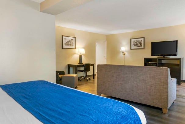 King Suite | Sofa Bed