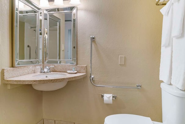 Accessible Roll In Shower