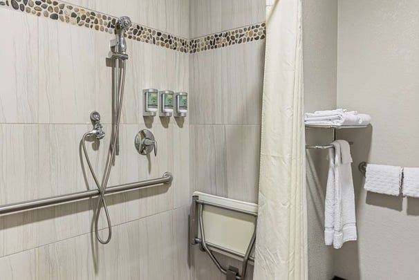 Guest Bathroom Accessible