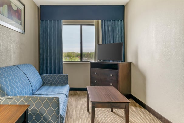 River View King Suite with Sofabed