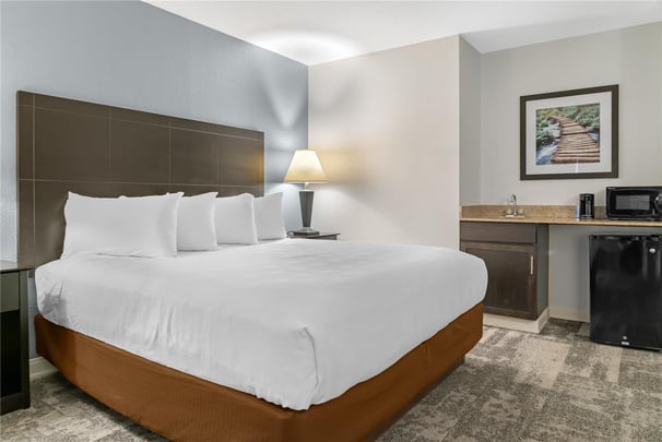 Queen & Bunkbed Suite