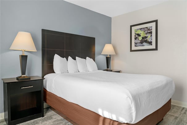 Accessible Queen Guest Room