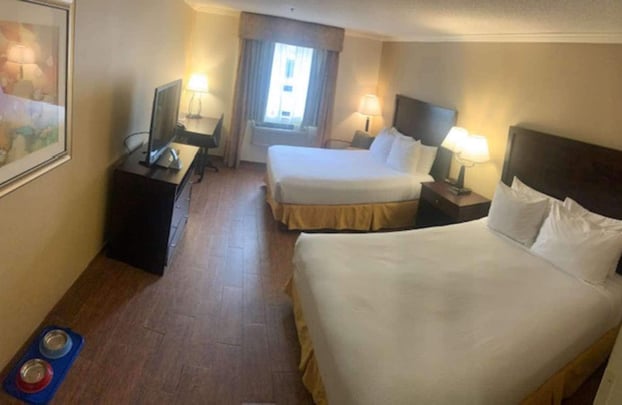 2 Queen Pet Friendly