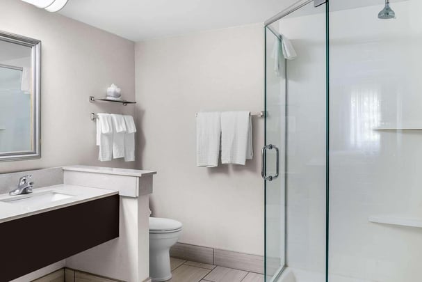 Guest Bathroom - Queen Suite