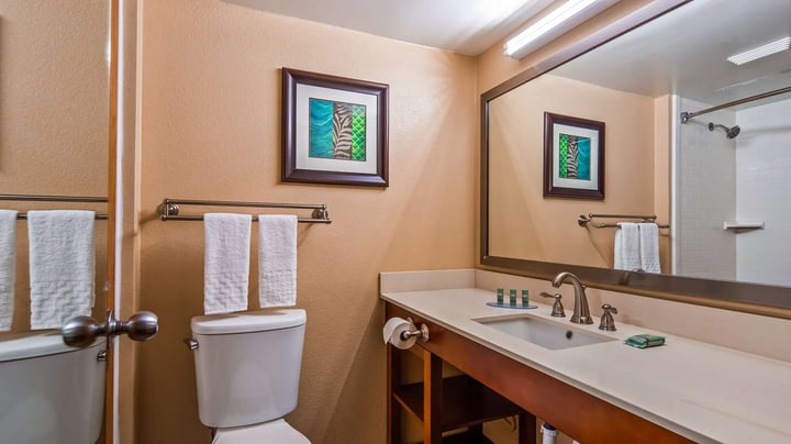 Guest Bathroom