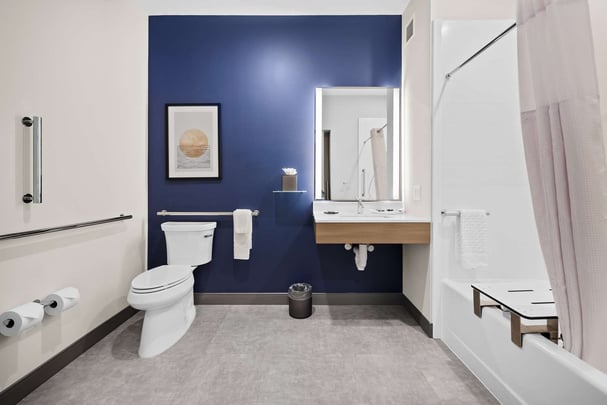 Accessible Guest Bathroom