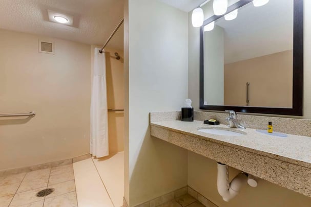 Guest Bathroom Accessible