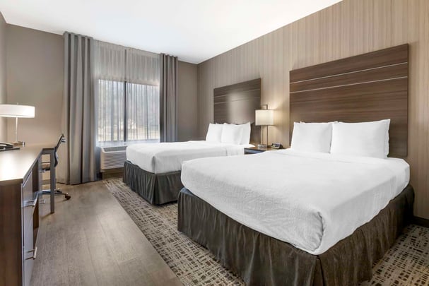 QQ Hearing Suite Shower