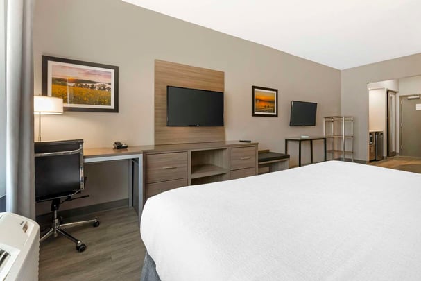 King Suite Hearting Shower