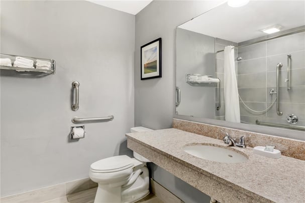 Accessible Guest Bathroom