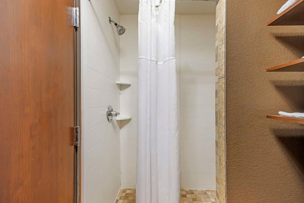 King Room shower