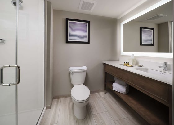 Guest bathroom walkin shower