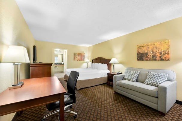 King Sofa Sleeper One